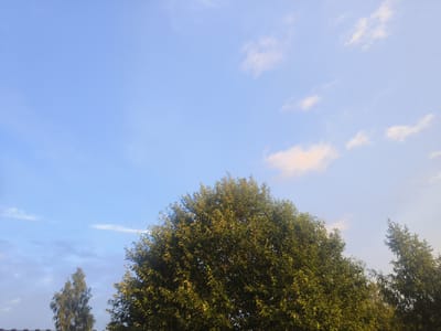 The image shows a clear blue sky with sparse white clouds, partially obscured by the tops of several trees. A large, dense deciduous tree dominates the foreground, with its dark green foliage catching the light. To the left, a thinner, taller deciduous tree with lighter green leaves is visible. In the far right, another tree with dense foliage is partially shown. The top of a dark roofline is visible at the bottom edge of the frame. The scene appears to be an outdoor natural setting, possibly a park or residential area, within Кругліцкі сельскі Савет, Belarus, under daylight conditions.