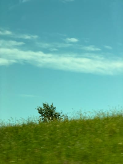 The image shows a grassy hill with a lone tree against a bright blue sky with wispy clouds. The scene appears to be captured from a moving vehicle, indicated by the motion blur in the foreground of the grass and the slight blur of the tree. The colors are vibrant, with a strong green for the grass and a clear blue for the sky. The light suggests it is daytime, possibly late afternoon or early morning given the softness of the light. The location of Posevnaya, Russia, is not visible in the image; this is a generic landscape scene. There are no people or specific man-made structures visible. The environment is natural and rural.