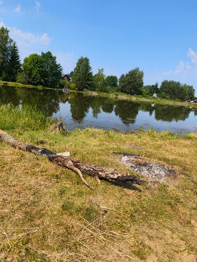 The image depicts a tranquil waterside scene under a clear blue sky with scattered clouds, likely in Kyviškės, Lithuania. In the foreground, a large, partially burned log lies on dry, sun-baked grass. Adjacent to the log, a small fire pit with visible ashes indicates recent activity. The middle ground features the calm surface of a body of water, reflecting the lush green trees and a few buildings on the opposite bank. Reeds and tall grass line the water's edge. The background showcases a dense line of trees, a characteristic feature of the Lithuanian landscape, with glimpses of houses nestled amongst them. The overall impression is one of a serene summer day in a rural setting.