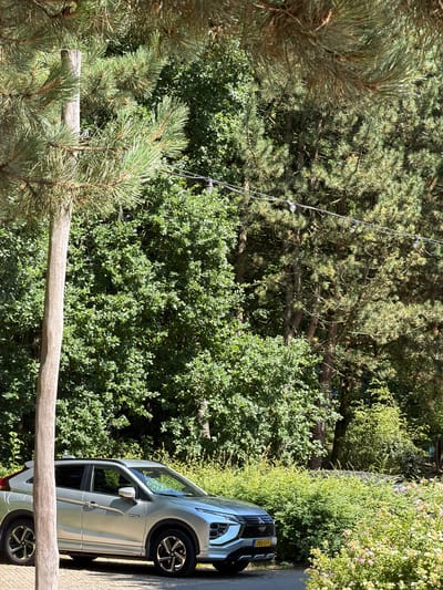 In Heijen, Netherlands, a silver Mitsubishi Eclipse Cross is parked on a gravel surface next to a dense green hedge with small pink flowers. The car is positioned to the left of the frame, with its front end facing towards the right. Behind the car and hedge, a thick wall of various green trees and foliage creates a natural backdrop. A single, thick, light brown wooden post stands vertically in the foreground to the left, partially obscuring the view of the car. Overhead, a string of globe lights is suspended across the upper portion of the scene, stretching between trees. The lighting suggests it is daytime with sunlight filtering through the leaves, creating dappled shadows.