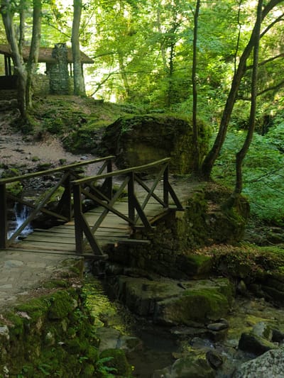 An outdoor scene features a wooden bridge crossing a shallow, clear stream in a lush, green forest. The bridge, constructed from dark wood planks and with a weathered appearance, has a simple railing on either side. The stream flows over moss-covered rocks, and the surrounding forest is dense with trees and foliage, with sunlight filtering through the canopy. On the left bank of the stream, near the bridge's entrance, there is a stone structure with a thatched roof, possibly a small pavilion or shelter. The ground is covered with dirt, fallen leaves, and patches of moss. The overall atmosphere is tranquil and natural. The location is the Varosha district in Teteven, Bulgaria, known for its natural beauty and recreational areas.