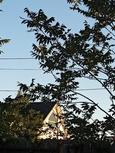 A dark silhouette of tree branches and leaves obscures much of the sky and a portion of a residential structure. The sky is a clear, light blue, indicating daytime. Three horizontal power lines are visible against the sky, running from left to right across the frame. In the lower portion of the image, the dark roofline of a building is visible, with a light-colored wall and a triangular window illuminated by sunlight. The building appears to be a house. A wooden fence runs along the bottom of the frame, partially obscured by the fence itself and some darker foliage. The scene is set in the city of Amarillo, United States of America.