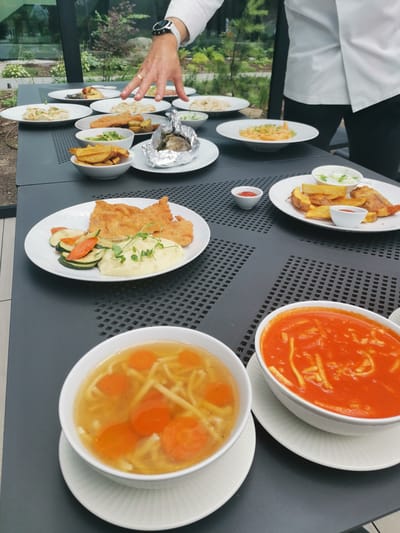A hand with a watch and a ring is reaching over a table laden with plates of food. The setting appears to be outdoors, with greenery visible in the background through a glass enclosure. The table is dark grey with a textured surface, and several white plates hold various dishes.
On the left, there are plates with what appear to be dumplings or pierogi, some with filling visible. Further back, there are plates with what looks like a creamy pasta or rice dish, and another with a mushroom and apple combination. Closer to the foreground, a plate holds breaded fish fillets and potato wedges, accompanied by a small bowl of white sauce and a small bowl of ketchup. Another plate displays a large breaded cutlet served with mashed potatoes and a side of sautéed zucchini and carrots.
In the front, two bowls of soup are prominent. One is a clear broth with noodles and sliced carrots. The other is a vibrant red soup, likely tomato-based, also containing noodles. A hand in a white chef's coat is partially visible on the right, indicating a presentation or serving scenario. The overall impression is of a culinary display or a meal being served, possibly in a restaurant or event setting, in Rogowo, Poland.