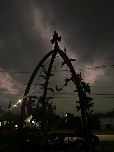 The image depicts a dark, moody scene with a silhouette of an arched garden trellis, adorned with vines and a few red flowers. The sky above is overcast with dramatic, dark clouds, hinting at an impending storm or the aftermath of one. In the background, faint lights suggest a residential area in Cape Coral, Florida, with the outlines of houses visible through the gloom. Power lines are also visible stretching across the sky. The overall impression is one of an atmospheric, possibly humid evening in a suburban environment.