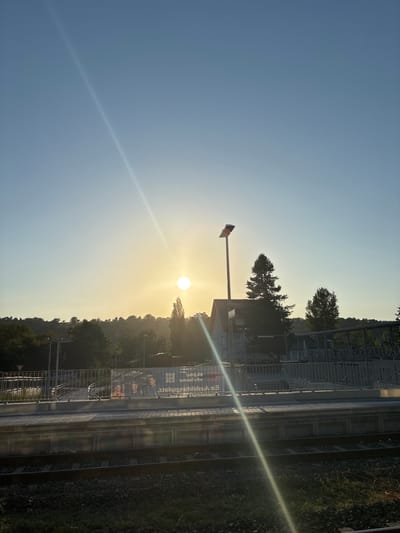 The image shows a view from a train station platform in Elsenfeld, Germany, during sunset. The sun is low in the sky, casting a bright glare and a light streak across the frame. In the foreground, train tracks are visible. The platform is elevated and has a metal railing. Behind the railing, there are people standing, including a man in an orange shirt and two men in gray shirts. A sign with German text is also visible behind the railing. Further in the background, there is a building with a tall street lamp in front of it, and several trees, including two tall evergreen trees. The landscape behind the station appears to be hilly with more trees. The sky is clear and light blue.