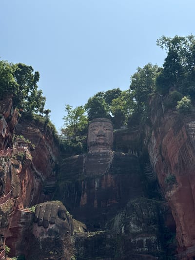 The image captures the Leshan Giant Buddha, a colossal stone statue carved into a cliff face in Shizhong, China. The Buddha is depicted in a seated position, facing the river, with its head level with the top of the cliff. Trees grow both above and below the Buddha. The rock face surrounding the Buddha is reddish brown with visible erosion patterns. A blue sky is visible in the upper left corner.