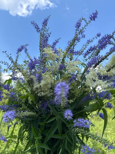 A close-up, low-angle shot captures a bouquet of wildflowers against a bright blue sky with scattered white clouds. The bouquet is a mix of tall, slender spikes of purple flowers and smaller clusters of white flowers, interspersed with green leaves. The flowers are densely packed, filling most of the frame. The background is a soft-focus green field, suggesting an outdoor setting. There are no people or identifiable landmarks present, making it impossible to determine the specific location within Липовая I, Russia, beyond it being an outdoor, likely rural or park-like environment.