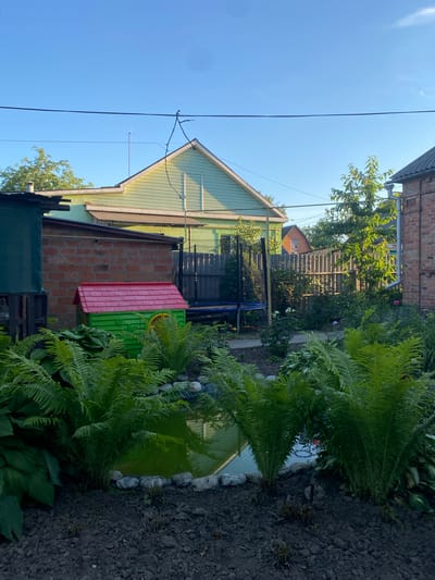 This is a backyard scene in Romny, Ukraine. In the foreground, there is a small pond surrounded by rocks and lush green ferns. Behind the pond, a brightly colored children's playhouse with a red roof and green walls sits next to a brick building. Further back, a wooden fence separates the yard from neighboring properties. A trampoline is visible near the fence. In the background, a light green, two-story house with a pitched roof is partially visible, along with trees and a clear blue sky. Overhead, electrical wires are strung across the scene.