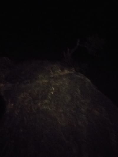 The image depicts an extremely low-light outdoor scene, consistent with nighttime conditions, located in Kalitini Centre, Kenya. The foreground and midground consist of dark, textured ground, likely natural terrain with sparse vegetation or uneven earth, exhibiting subtle variations in tone and indistinct forms. Several minute, lighter specks are faintly visible within this dark ground texture. The upper portion of the frame is predominantly opaque black, with a very faint, blurred silhouette resembling slender tree branches or sparse foliage discernible in the upper right quadrant. No individuals, animals, specific man-made objects, or observable actions or interactions are present.