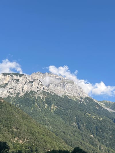 The image presents a mountainous landscape situated in the region of Erstfeld, Switzerland. The upper frame is occupied by a clear blue sky with scattered white cumulus clouds, some of which lie against the highest mountain peaks. The central feature is a large mountain range, exhibiting rugged, light grey and white rocky summits. Below these rock formations, dense, dark green coniferous forests ascend the steep lower and mid-mountain slopes. The extreme bottom edge of the frame shows the tops of further trees. The scene is illuminated by bright, direct sunlight, indicating daytime. No human subjects, artificial structures, or vehicles are present.