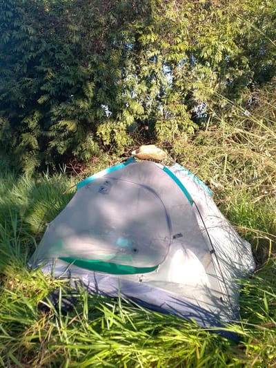 A grey and green tent is set up amidst tall green grass and trees. The tent is partially visible, with its entrance facing towards the right of the frame. A straw hat rests on top of the tent. The scene appears to be in an outdoor, natural setting, possibly a campsite, in São Gabriel Do Oeste, Brazil. The lighting suggests it is daytime.