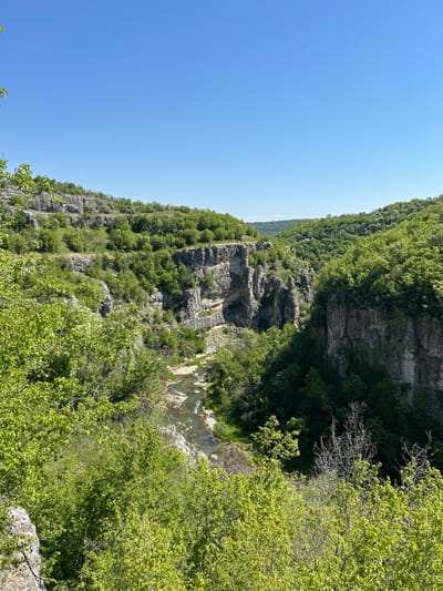 The image depicts a rocky cliffside in Emen, Bulgaria, heavily vegetated with green trees and shrubs. The cliff face shows layered rock formations, with some areas of lighter, possibly limestone, deposits. A dense forest covers the top of the cliff and continues down the slope in patches. The sky is clear and blue, suggesting a sunny day. The image is taken from a high vantage point, looking down into the gorge or valley created by the cliff. There is no evidence of human presence in the frame.