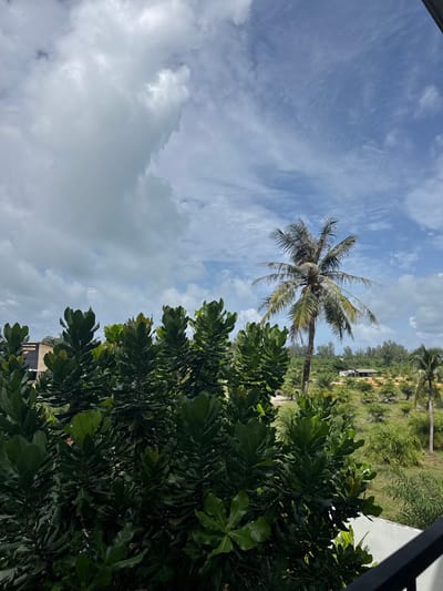 This image captures a lush, tropical landscape under a dynamic sky. In the foreground, dense green foliage with large, glossy leaves dominates the left side of the frame, obscuring a portion of a building with a sign that appears to be in Thai. To the right of the foliage, a mature coconut palm tree stands tall, its fronds reaching towards the sky. Behind the palm tree, the landscape unfolds with rolling green hills dotted with more trees and vegetation. A small, dark-roofed building is visible in the mid-ground. The sky is a mixture of bright blue patches and dramatic, white and gray cumulus clouds. The overall impression is one of natural beauty and a sense of open space. The location is identified as Ban Khuk Khak, Thailand.