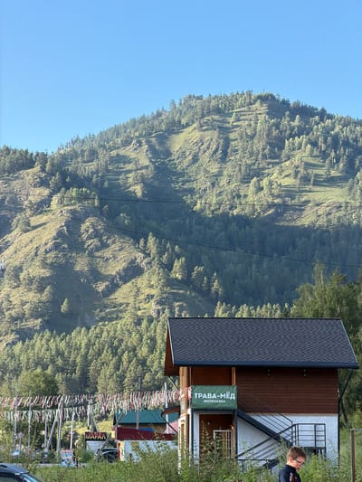 In Uznezya, Russia, a two-story building with a dark gray shingled roof and brown wooden siding on the upper level stands in front of a large, tree-covered mountain. A green banner above the entrance reads "ТРАВА-МЁД" and "ФИТОЛАВКА." Black metal stairs lead to the upper level. In the foreground, a young boy wearing glasses and a dark jacket with red accents stands near some green foliage. Several power lines are visible across the image. Behind the building and to the left, a street is visible with signs and other smaller buildings. The mountain behind the building is covered in dense green trees and appears to be rugged and steep, with some areas of exposed rock. The sky is clear and blue.