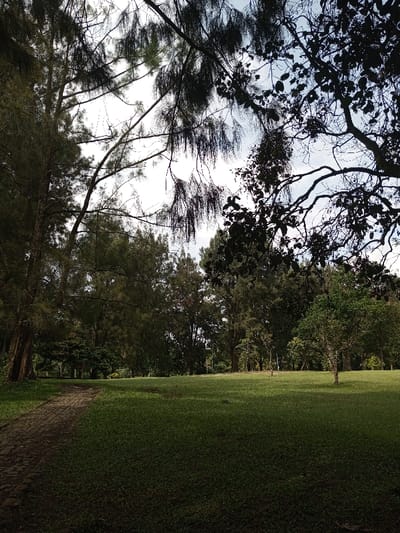 The image displays an outdoor park or green space located in New Serchhip, India. A dark, unpaved pathway, appearing to be composed of small stones or compacted earth, originates from the lower-left corner and curves gently towards the center of the frame, disappearing into the midground. Adjacent to the path and extending across the lower and middle portions of the image is an expansive area of mown green grass. The scene is densely bordered by numerous mature trees, including tall conifers with dark foliage and broadleaf varieties, which form a treeline in the background. Overhead, the sky is visible, predominantly bright and overcast with white cloud formations, with tree branches and dark foliage silhouetted against it in the upper frame. No individuals, animals, specific man-made structures, or activities are depicted within the scene.
