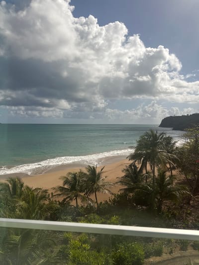 The image presents an elevated view of a tranquil tropical beach, likely taken from a balcony or window, indicated by a white vertical post on the right edge. The scene is dominated by a clear sky, featuring large, bright white cumulus clouds contrasted against patches of pale blue, with darker, more diffused clouds toward the upper and right portions of the frame.

Below the sky, the calm, turquoise-green ocean stretches out, meeting a golden sandy beach where gentle white waves break. The coastline features numerous tall palm trees and dense green tropical foliage, some casting shadows on the sand. In the distance, a dark, mountainous landmass or cliff extends into the sea, framing the far end of the beach.

The time of day appears to be late morning or early afternoon, characterized by bright, indirect sunlight and the formation of substantial clouds. The overall atmosphere is peaceful and serene, emphasizing natural beauty. No people or visible text are present in the image. The setting aligns with the provided context of Deshaies, France, suggesting a Caribbean or similar tropical coastal environment.