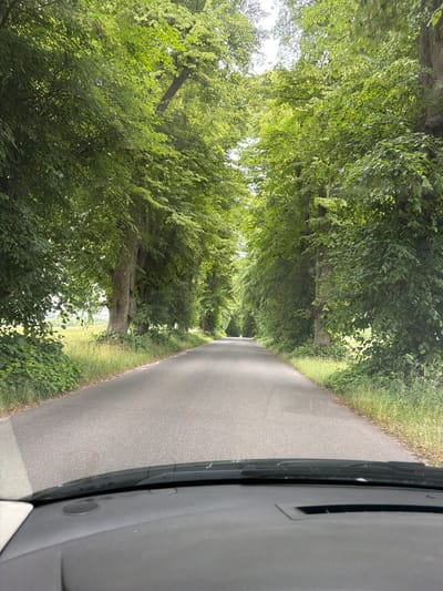 The image shows a road lined with lush green trees forming a canopy overhead. The perspective is from inside a vehicle, with a portion of the car's dashboard and windshield visible on the right side. The road appears to be an asphalt surface, curving gently into the distance. Sunlight filters through the dense foliage, creating dappled patterns on the road and the surrounding grassy verges. The scene conveys a sense of a scenic drive through a rural or park-like setting, possibly in Denmark, given the location context. The time of day appears to be daytime, with bright, overcast conditions suggested by the even lighting and lack of harsh shadows. The overall mood is peaceful and tranquil, evoking the beauty of nature. No people are visible in the frame, and there is no visible text.