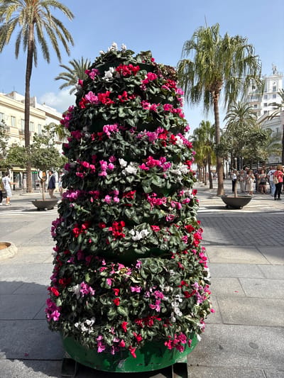 The image captures a vibrant, sunny street scene in Cádiz, Spain. In the foreground, a prominent, conical, tiered planter, approximately 2 meters tall, is densely covered with green foliage and numerous cyclamen flowers in shades of red, pink, and white. The planter has a dark green base with visible metal supports and rests on a paved surface of light grey square tiles.

To the left of the planter, the paving transitions to a street or open area. A tall palm tree stands prominently, partially obscuring a multi-story white building with balconies. Several pedestrians are visible in the mid-ground, including one person in a white t-shirt and dark shorts on the far left, and another in a dark suit jacket near a dark, circular ground-level planter.

To the right, a wide paved promenade extends into the distance, lined with multiple palm trees. In the background, a large, ornate white building with a distinctive spire or tower is visible. A group of approximately 10-15 casually dressed individuals is clustered on the promenade in the mid-ground. The sky above is clear and bright blue, and strong sunlight casts distinct shadows across the paved areas.