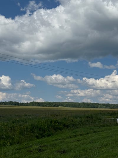 The image depicts a wide, rural landscape with a field in the foreground and a dense forest line in the distance. The sky is filled with a mix of bright white and dark gray clouds against a clear blue sky. Three parallel power lines stretch horizontally across the upper portion of the image. The field is covered in green grass and various wildflowers, appearing slightly unkempt. The forest line is a solid band of dark green trees. The overall impression is that of a natural, open environment under a dynamic sky. There are no people or animals visible in the frame, and no specific landmarks are identifiable that would definitively place the image in the city of Рождественск, Russia.