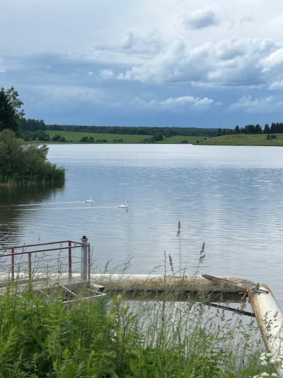 A scenic, eye-level, full shot captures a wide, tranquil body of water under a cloudy sky in Verkh-Rozhdestvo, Russia. Two white swans gracefully glide across the calm surface of the lake, leaving subtle ripples in their wake. The foreground is dominated by lush green vegetation and tall grasses, partially obscuring a rusty metal railing and a large pipe that emerges from the water. Beyond the lake, rolling green hills and a dense line of trees form the distant horizon. The sky is filled with a dramatic display of dark, heavy clouds, hinting at an impending rain shower. The overall atmosphere is one of serene natural beauty, with a touch of industrial presence from the visible pipe and railing.