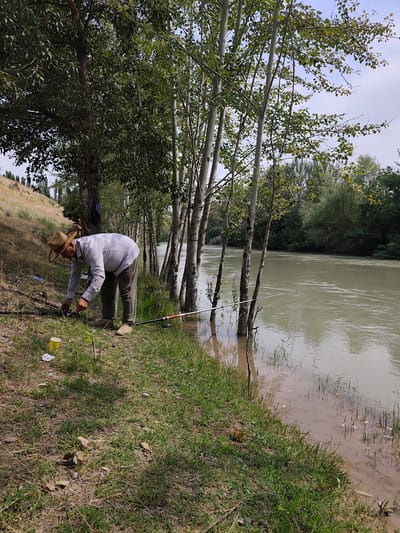 An elderly man, wearing a straw hat and a checkered shirt, is fishing on the bank of a wide, murky river in a rural setting. He is bent over, tending to his fishing gear, which includes at least two fishing rods. A yellow cup and some white paper are visible on the grassy bank next to him. The river has a slight current, and the banks are lined with trees, some with tall, slender white trunks, and lush green grass. In the background, there are more trees and a hazy sky, suggesting it's a mild day. The scene appears peaceful, with the man engrossed in his activity. The overall impression is of a quiet afternoon spent fishing in a natural environment. The location is identified as Nooshken, Kyrgyzstan.
