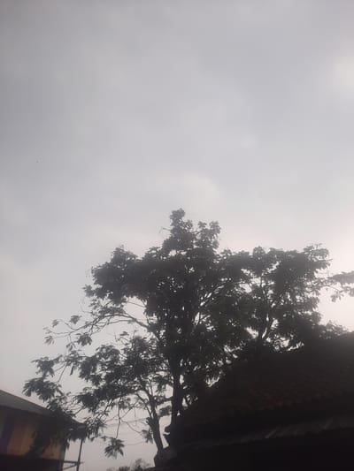 The image displays an outdoor scene dominated by a bright, overcast sky and the silhouette of a large tree. The sky occupies the majority of the left side of the frame, appearing as a uniform light grey or white, indicative of heavy cloud cover, haze, or fog. This creates a diffused lighting effect across the scene.

On the right side, a substantial tree with a dense canopy of leaves is prominently featured. The tree is silhouetted against the brighter sky, making its foliage appear dark, with individual branches and leaves visible, though specific details are obscured by the lack of direct light. The tree extends from the bottom to the top of the right edge of the frame.

In the extreme lower right corner and along the right edge, a dark portion of a building or structure is visible. This includes what appears to be a tiled roof and a wall, partially hidden by the tree's foliage and shadowed conditions. Closer inspection of cropped sections reveals parts of the wall with muted colors, possibly reddish-browns transitioning to greens or purples, suggesting a painted surface. A faint vertical line, potentially a utility pole or wire, can also be observed near the right edge of the frame.

There are no people or discernible activities taking place in the image. Two small, dark specks, possibly distant birds or artifacts, are present in the expanse of the sky in different areas. No visible text is present. The overall atmosphere is quiet and subdued due to the overcast weather conditions, typical of a cloudy day. The location context for this image is Kiangroke, Indonesia.