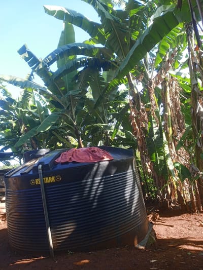 The scene is located in Kahuro, Kenya. A large, dark-colored, corrugated plastic water storage tank, bearing a yellow "KS TANK" logo, is prominently situated in the lower-left to central foreground. A light-colored PVC pipe extends from the upper portion of the tank towards the ground. A reddish-orange cloth is draped over the top surface of the tank. The tank rests on reddish-brown earth. In the midground and background, a dense growth of banana plants with large green leaves and some dry, browning foliage extends upwards, partially obscuring a clear blue sky. Direct sunlight illuminates the scene, casting shadows across the tank and ground. No individuals or animals are present.