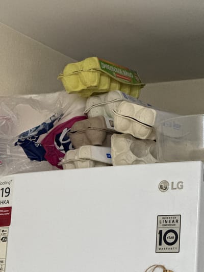 The image shows a cluttered refrigerator top, with several empty egg cartons, plastic bags, and a clear plastic container. The LG logo and "INVERTER LINEAR COMPRESSOR 10 YEAR WARRANTY" sticker are visible on the front of the refrigerator. The scene appears to be indoors, with a plain wall in the background. There is no indication of the location in the city of Сосны, Russia.