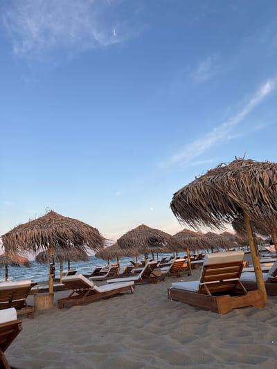 An outdoor, eye-level shot depicts a sandy beach with rows of empty lounge chairs and thatched umbrellas under a pale blue sky with wispy clouds and a faint moon. The scene is set at the beach in Shkorpilovtsi, Bulgaria, with the calm sea visible in the background. The lounge chairs are made of wood and have white cushions. The umbrellas are made of dry palm leaves and are supported by wooden poles. The sand is light brown and appears smooth. The lighting suggests it is either early morning or late evening. There are no people visible in the image.