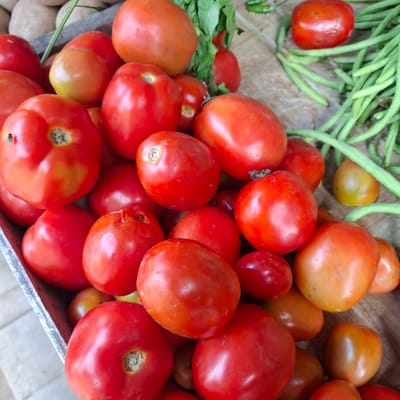 A high-angle, close-up shot captures a pile of ripe, red tomatoes spilling out of a metal container. The tomatoes vary in size and shape, with some showing slight blemishes or imperfections. A few green beans are visible in the upper right corner, alongside some chili peppers. In the background, unpeeled potatoes are partially visible. The lighting is bright, highlighting the glossy texture of the tomatoes. The scene appears to be an outdoor market stall in Mesjid Tuha, Indonesia, given the presence of fresh produce and the likely setting of a local market. There are no people visible in the image.