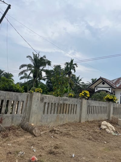 This image depicts an outdoor scene in Tanahterban, Indonesia. The foreground features a low concrete wall with a slatted design, partially obscured by dry, overgrown grass and scattered debris, including a white cloth bundle and some plastic waste. Beyond the wall, lush green foliage and palm trees are visible, suggesting a tropical or subtropical environment.
In the background, a white building with a distinctive, angular roofline painted in black and white is partially visible. The roof itself appears to be made of corrugated metal, some sections of which are rusted. Yellow flowers are blooming around the building, adding a touch of color to the scene. Overhead, a cloudy sky dominates, with power lines crisscrossing the frame, indicative of an inhabited area. The presence of utility poles further supports this.
The overall impression is one of a rural or semi-urban setting, possibly a residential area, under an overcast sky. The time of day is not definitively clear, but the diffused light suggests it is daytime. There is no discernible activity or event taking place; the image appears to be a still observation of the environment. No visible text is present in the image.