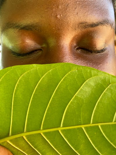 A close-up, slightly blurred, and vertically oriented image shows the face of a person with brown skin and dark eyebrows and eyelashes, along with a green leaf. The person’s eyes are closed, and the face is positioned on the left side of the frame, filling approximately half of the image. The person’s skin appears shiny or perhaps lightly oiled. Adjacent to the face, on the right side, is a large, bright green leaf with a prominent central vein and smaller, parallel veins radiating outward. The leaf partially obscures the person's face. The texture of the leaf is visible with intricate patterns of smaller veins. The location is unspecified.