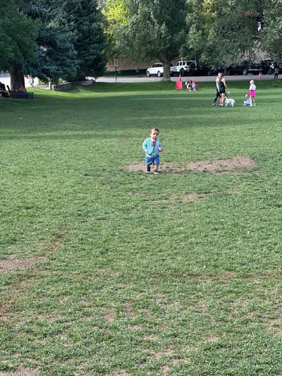 The image captures a daytime scene at Rio Grande Park in Aspen, United States. In the foreground, a young toddler, wearing a light blue hooded sweatshirt, blue shorts, and dark shoes, walks from right to left across a worn patch of green grass, holding a small pink object in its left hand. In the midground, an adult female in black athletic wear walks a white dog. Nearby, another adult female in pink shorts is seated on the grass with two young children. In the background, deciduous and coniferous trees line the park, beyond which a paved road features parked vehicles, including a white Range Rover and a white Jeep Wrangler. Another person is seated in a red chair under a tree on the far left. The environment consists of an expansive green lawn with areas of visible dirt due to wear.
