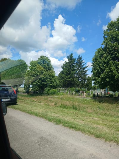 The image captures a scene from a car's perspective, looking out towards a rural landscape under a bright blue sky with scattered white clouds. To the left, the rear of a dark-colored Citroën car with the license plate AI 5825 OH is visible. The car appears to be parked or stopped by the side of a paved road.

The foreground consists of the road and a grassy verge with wildflowers. Beyond the verge, a cemetery is present, marked by numerous small white and dark crosses, some with decorations, interspersed with green foliage. Several trees, including tall evergreen trees and broader deciduous trees, are scattered throughout the scene, with dense green foliage. Power lines are also visible stretching across the sky. The overall impression is of a peaceful, sunny day in a rural setting, with the cemetery being a prominent feature of the landscape. The specific location is identified as Skrebyshi, Ukraine.