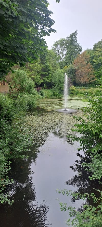 This image captures a tranquil pond at Breaffy House Resort, Ireland. A tall, thin fountain sprays water upwards in the center of the pond, which is covered with lily pads. Lush green trees and foliage surround the pond, with a wooden fence visible in the background. The sky is overcast, creating a soft, diffused light. The water's surface reflects the surrounding greenery and the sky. No people are present in the image.