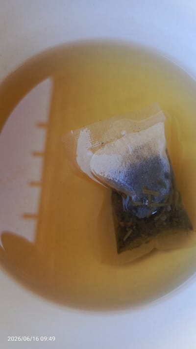 A close-up, overhead shot captures a single, white, square tea bag submerged in amber-colored liquid, likely tea, within a white ceramic mug. The tea bag, made of a translucent material, is partially filled with dried green leaves and is positioned in the upper right quadrant of the frame. The liquid is murky, with some fine particles visible. A faint, vertical pattern, possibly from the mug's interior, is visible on the left side of the image. The timestamp "2026/06/16 09:49" is overlaid in the bottom left corner. The scene is indoors, suggesting a personal moment of preparing or enjoying tea. There is no indication of the city of Margilan City, Uzbekistan.