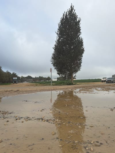 A tree stands by a flooded road, its reflection visible in the water. A speed limit sign is nearby. The road is muddy and strewn with rocks. Vehicles are parked in the distance. The sky is overcast.