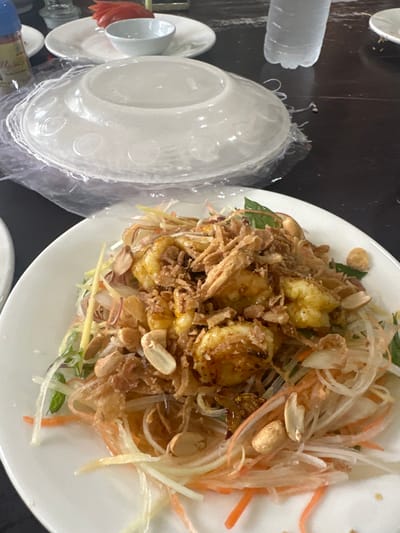 A white plate holds a vibrant salad with shrimp, shredded carrots, onions, peanuts, and crispy fried toppings. Next to the plate, several stacked clear plastic bowls are in plastic wrapping. Also included is a small dish, a cup, and a bottle with a blue cap. The items rest on a dark surface.
