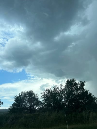 The image displays a rural landscape scene in Dinkata, Bulgaria, under an overcast sky. The upper approximately two-thirds of the frame are filled with dense, dark grey cumulonimbus clouds, indicating potentially stormy weather. Patches of brighter blue sky are visible on the far left and center-left, with lighter, whiter clouds interspersed beneath the darker formations. The lower third of the image is occupied by a line of dark green, densely foliated trees and thick bushes, silhouetted against the brighter sky behind them. Below the trees, the foreground consists of dark, overgrown vegetation, likely tall grasses and weeds. On the far right of the foreground, a thin, white vertical marker or stake is partially visible, protruding from the vegetation. No people, animals, or artificial structures other than the potential marker are discernible. The overall lighting is dim and diffused due to the heavy cloud cover.