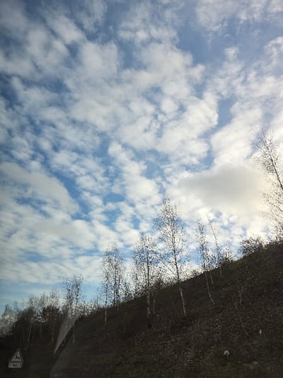 The image depicts an outdoor scene under a dynamic sky filled with numerous white cumulus clouds against a clear blue background. The lower portion of the frame is dominated by a steep, dark brown, uncultivated earthen slope, rising from left to right. Several slender, bare-branched deciduous trees with light-colored bark are sparsely distributed across this slope, appearing to be in a dormant state. In the bottom left quadrant, a white triangular road sign with a red border and a black silhouette of a deer is visible, signaling a potential animal crossing. Partially obscured text is present below the deer silhouette on the sign. Vertical streaks and a slight glare on the left side of the image suggest it was captured through a window, possibly from a moving vehicle. No individuals or specific animal interactions are discernible. The environment is consistent with a semi-rural or natural area, such as the outskirts or a green belt within the city of Amiens, France.