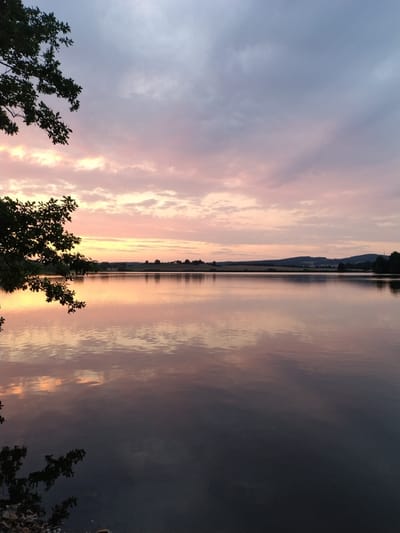 A serene sunset over a lake in Kestřany, Czechia, captures the tranquil beauty of nature. The sky is a canvas of soft pinks and purples, with clouds gently drifting across the horizon. The water reflects the colors of the sky, creating a mirror-like surface that stretches to the distant hills. Trees on the left edge of the frame cast their silhouettes against the vibrant sky, adding a touch of depth to the scene. The overall atmosphere is one of peace and calm, inviting viewers to immerse themselves in the natural splendor of the Czech countryside.