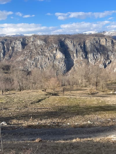 The image displays a panoramic view of a mountainous, rural landscape in Mokro, Montenegro, under a bright blue sky dotted with scattered white cumulus clouds. The scene is illuminated by sunlight, evidenced by shadows cast from left to right.
In the immediate foreground, a dark gray-black gravel or dirt path runs horizontally across the bottom third of the frame. Above this path, an uneven, dry grassy slope extends upwards, characterized by brown and yellowish patches of vegetation and scattered small debris. A single horizontal dark brown log or beam rests on this slope.
The midground consists of a gently rising field covered in sparse, dry grass and numerous leafless deciduous trees of varying sizes. A prominent, bare tree with a rounded canopy stands towards the left-center of this field. Further back, a denser cluster of leafless trees forms a small woodland at the base of the background mountain. An indistinct, dark mass is partially visible within this denser tree cluster.
The background is dominated by a massive, steep, gray and brown rocky mountain face, exhibiting vertical fissures and sparse vegetation on its lower slopes. Above this rocky formation, a ridge line of bare trees is visible. Beyond this, distant mountain peaks are present, partially covered with white snow.