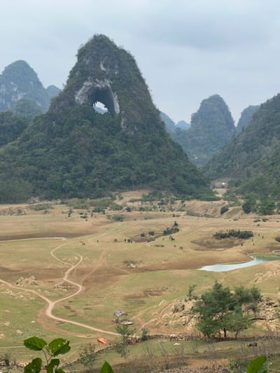 This landscape image, correctly oriented, depicts a vast, verdant valley in Quốc Toản, Vietnam, under an overcast or hazy sky.

The scene is dominated by majestic, conical karst mountains on the left and in the background, densely covered with deep green foliage. A particularly striking feature is a prominent mountain on the left, which exhibits a large, natural arch or cave entrance on its side, appearing as a dark, oval opening.

The midground features a wide, relatively flat valley floor. This area consists of extensive patches of dry, light brown earth interspersed with areas of green grass. Numerous winding dirt paths or tracks traverse the valley, suggesting movement and activity. A narrow, light blue body of water, possibly a river or lake, meanders through the valley floor, reflecting the muted light from the sky.

Scattered across the valley floor are several small groups of people and multiple dark-colored livestock, likely cattle or water buffalo, suggesting a pastoral setting. Near the water's edge on the right, small structures are visible, including a light-colored shelter and a reddish-orange object, possibly a tent or tarp. A notable green tree stands on the right side of the valley. Out-of-focus green leaves frame the bottom right corner of the image.

The diffused, soft lighting indicates an overcast day or perhaps early morning/late afternoon without direct sunlight. No discernible text is visible within the image. The overall impression is one of serene natural beauty and rural life in a distinctive karst landscape.