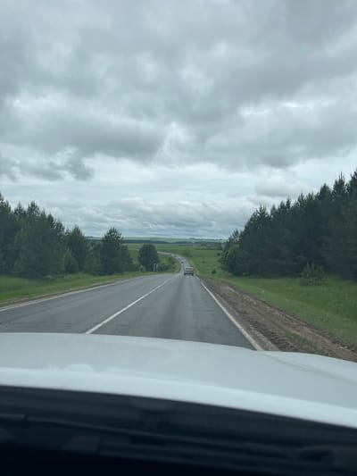 The image depicts a straight-on view from the interior of a vehicle, looking forward onto an asphalt road in Бизяки, Russia. The white hood of the foreground vehicle occupies the bottom portion of the frame. Above it, the two-lane road is visible, featuring a broken white center line and a solid white line on the right shoulder. The road appears to curve gently to the left in the distance and slopes downward.

The sky is entirely overcast with thick, grey stratocumulus clouds, indicating a lack of direct sunlight. On both sides of the road, dense lines of coniferous trees, primarily pines, run parallel to the road. Beyond these tree lines, vast green fields extend across rolling terrain to the horizon.

Traffic on the road includes a light-colored sedan in the mid-ground, traveling away from the camera in the right lane. Further down the road, a line of several additional vehicles is visible, also receding from the viewer. A small, white, rectangular road sign stands on the right side of the road, near the treeline. The immediate right shoulder of the road consists of a dirt and mud verge. No specific human subjects are identifiable.