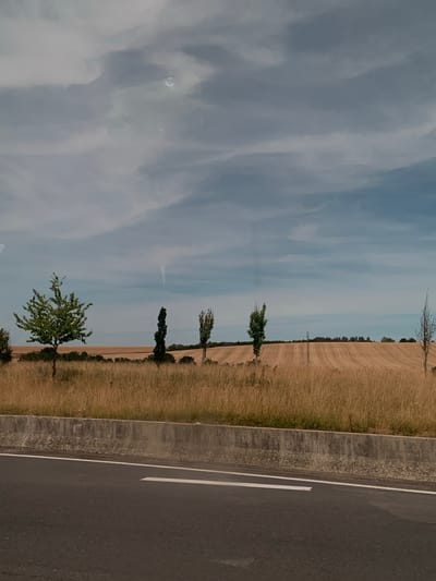 The image shows a rural landscape with a field of dry grass and a harvested wheat field under a cloudy sky. Several trees are scattered across the scene, with one larger tree on the left. In the foreground, there is a paved road with a concrete barrier and white lane markings. The location is identified as Moineville, France. No people or specific actions are depicted.