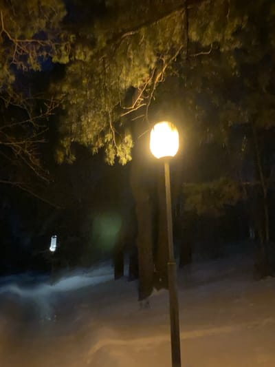 The scene depicts an outdoor, snow-covered environment at night, located in Нарацкі сельскі Савет, Belarus. A single street light, positioned right of the frame's center, consists of a dark pole topped with an illuminated, warm-yellow, elliptical luminaire. Overhead, pine branches with green needles extend from the upper frame, partially illuminated by the street light. Bare tree branches are visible on the upper left. The ground is covered in white snow, showing variations in depth and contour. In the distant left, a translucent plastic bottle is vertically oriented, reflecting available light. Dark tree trunks are present in the mid-ground shadows. A faint green circular lens flare is visible in the mid-left portion of the image. No individuals are present.