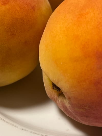 This is a close-up, shallow depth of field photograph of two apricots on a white surface. The apricot in the foreground is partially visible, with its skin showing a gradient of orange and red hues. A small dark object, possibly a remnant of the stem or a blemish, is visible in the crease of the apricot. The second apricot is to the left and out of focus, appearing primarily in shades of orange and yellow. The lighting is warm and illuminates the textured skin of the fruits. The white surface suggests a plate or countertop. There is no visible indication of the location being in Vardane Microdistrict, Russia or any specific urban environment.