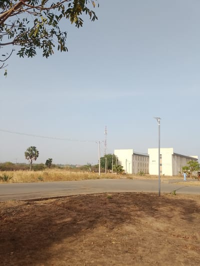 The image depicts a landscape in Panhauya, Nigeria. In the foreground, there is an expanse of dry, reddish-brown earth. A paved road cuts horizontally across the middle of the frame, separating the foreground from a field of dry, yellow grass. Beyond the field, there are several trees, including a prominent palm tree, and a communication tower. To the right, there is a large, white building with multiple windows, and a modern street light. Two people are seen near the building, one in a light blue garment. The sky is pale blue, and branches with green leaves are visible in the upper left corner of the image.