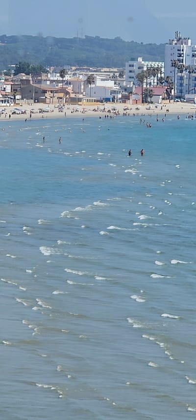 The image depicts a crowded beach scene in Algeciras, Spain, with a body of water in the foreground and a town in the background. The water is a vibrant blue with small waves rolling towards the shore. Several people are visible in the water, some wading, others swimming. Floating buoys mark sections of the water. The beach itself is populated with numerous individuals lounging on towels and under umbrellas, enjoying the sunny weather. Buildings, ranging from low-rise structures to a taller, modern hotel, line the coastline, with palm trees interspersed among them. In the distance, a hazy green hillside rises behind the town, and a clear sky stretches overhead. The overall impression is of a bustling summer day at a popular tourist destination.