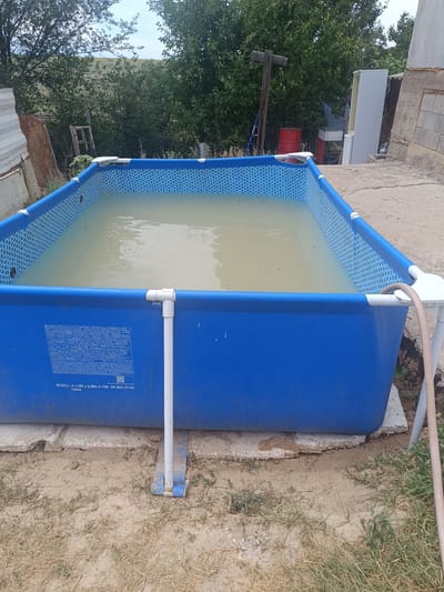An above-ground swimming pool filled with murky, discolored water is situated outdoors on uneven ground. The pool has a blue frame and a blue liner with a white hexagonal pattern. A white pipe extends from the pool's edge and a hose is attached to it. The pool is supported by white and blue metal legs. In the background, there are trees, a building under construction, a red barrel, and a white refrigerator. The surrounding area appears to be rural, with dry grass and dirt. There are no people visible in the image. The location is identified as Shamalgan, Kazakhstan, with the pool model number "A 3.0M x 2.0Mx 0.75M SR B02 25 R0" printed on a label on the side of the pool.